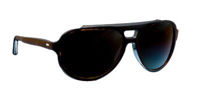 Barton Perreira Del Rey Dwspo Dark Walnut Sequoia Polarized sunglasses