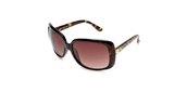 Betsey Johnson BJ244 Tobrg Tortoise Frame Brown Gradient Lens sunglasses
