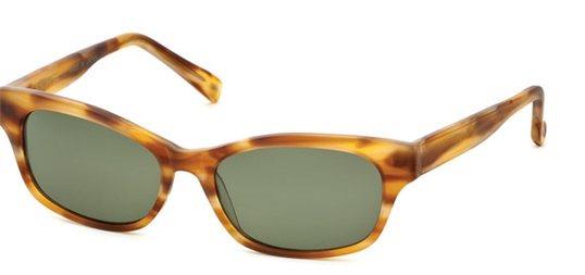 Bevel Cosmic Ray 7705 Sabae Tortoise sunglasses