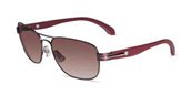 CK BY Calvin Klein CK1154S 046 Burgundy sunglasses
