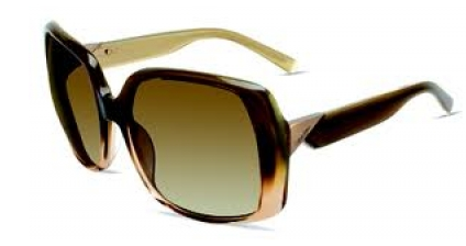 CK BY Calvin Klein CK7788S 239 Amber Fade sunglasses
