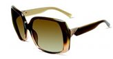 CK BY Calvin Klein CK7788S 239 Amber Fade sunglasses
