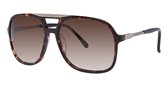 Chloe CL2223 C02 Dark Tortoise Bi Gradient Brown sunglasses