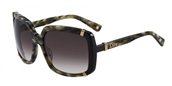 Christian Dior Dior Chicago 1/S 0UPP Olive Gray sunglasses