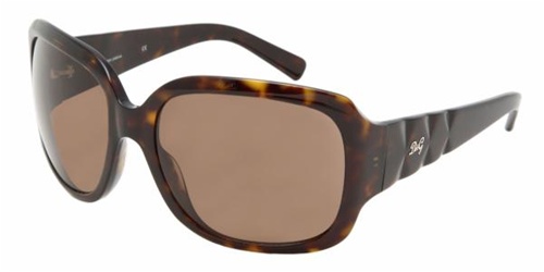 D&amp;G DD3021 502/73 Havana Brown sunglasses
