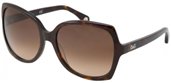 D&amp;G DD3063 502/13 Havana/Brown Shaded sunglasses