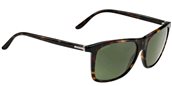 Gucci 1042/S 0TVD Havana  sunglasses