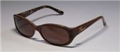 Guess 6404 BRNLP 1 Brown sunglasses