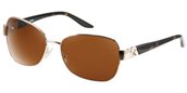 Guess GU7000 Gld Gold Brown sunglasses