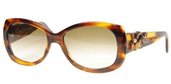 Lafont Bermudes 067 Tortoise sunglasses