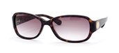 Marc by Marc Jacobs 022/S 0086 Dark Havana Brown Gradient sunglasses