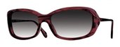 Oliver Peoples Caressa Red Havana Grey Gradient Lens sunglasses