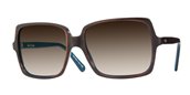 Paul Smith Eponine Tuscany Tortoise With Mink Gradient sunglasses