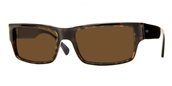 Paul Smith Finn Oak/MidnightBlue / Brown Polarized sunglasses