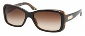 Ralph Lauren RL8066 526013 Top Black havana Brown Gradient sunglasses