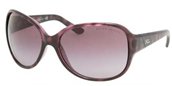 Ralph Lauren RL8067 53008H Violet Havana sunglasses