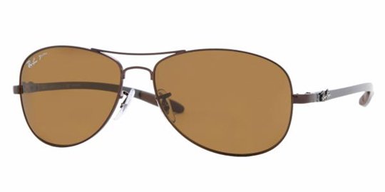 Ray Ban RB8301 014/N6 Brown Crystal Brown sunglasses