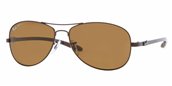 Ray Ban RB8301 014/N6 Brown Crystal Brown sunglasses