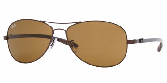 Ray Ban RB8301 14 Brown Crystal Brown sunglasses