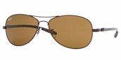 Ray Ban RB8301 14 Brown Crystal Brown sunglasses