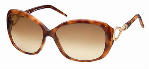 Roberto Cavalli RC520S Gardenia 53F Havana sunglasses