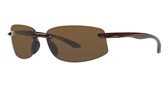 Scojo Sport SX 4006 Amber sunglasses