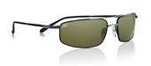 Serengeti Flex Lamone Shine Gun/Black Tannery/Polarized(7049) sunglasses