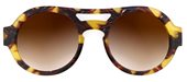 Theo Hesperia Comma 12 Tortoise sunglasses