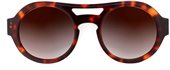 Theo Hesperia Comma 4 Havana sunglasses