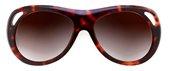 Theo Hospiton Papilio 4 Havana sunglasses