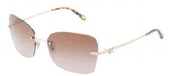 Tiffany TF3027B 60023B Gold Brown sunglasses