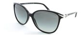 Tiffany TF4061G 80013C Black Gray Gradient sunglasses