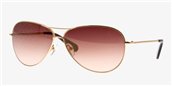 Tory Burch TY6006 101/84 Gold sunglasses