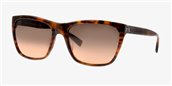 Tory Burch TY7003 517/95 Vintage Tort sunglasses