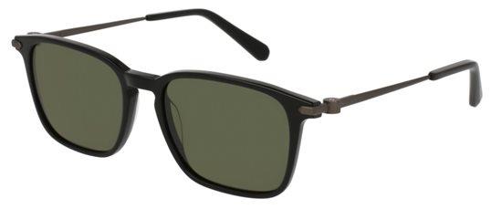 Brioni BR0017S 001 GREEN Sunglasses