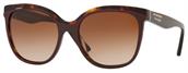 Burberry BE4270 373013 TOP BORDEAUX ON HAVANA Sunglasses