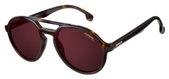 Carrera Pace 0086 00 Havana (W6 burgundy polarized lens) sunglasses