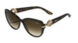 Chopard SCH205S 0Vac Brown Gold sunglasses