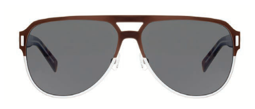 gucci beetle sunglasses