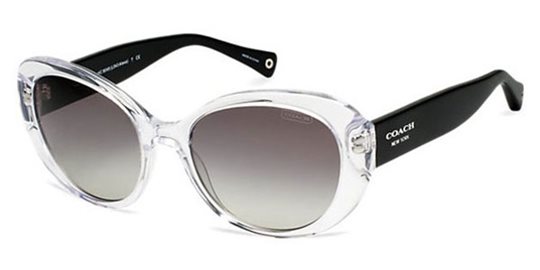Coach HC8049F L533 ALEXA sunglasses ShadesEmporium - Main Image