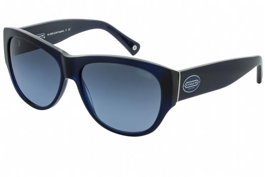 Coach HC8050 - L044 Hayden 511017 blue/grey blue gradient Sunglasses