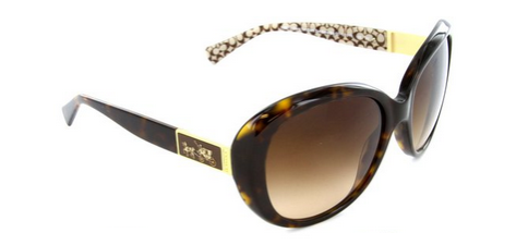 Coach sunglasses hc8120 shop