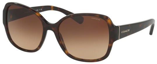 Coach HC8166 L154 512013 DARK TORTOISE Sunglasses