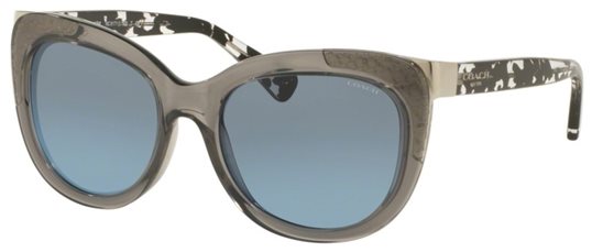 Coach HC8171 L152 536817 DK GRY CRYS/BLK CRYSTAL MOSAIC Sunglasses