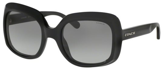Coach HC8194 L1616 500211 BLACK Sunglasses