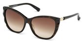 Daniel Swarovski SK0117 52F	dark havana / gradient brown sunglasses