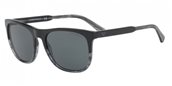 Emporio Armani EA4099F 556687 black/grey sunglasses