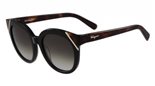 Ferragamo SF836S (006) BLACK/TORTOISE sunglasses