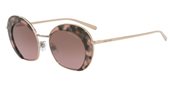 Giorgio Armani AR6067 301114 bronze/copper/pink gradient brown sunglasses