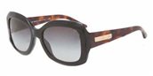 Giorgio Armani AR8002 50178G Black sunglasses
